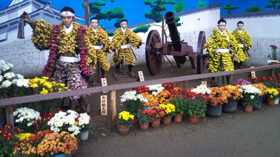 Hàng ngàn những bông hoa cúc được tạo hình những chiếc áo cực kì độc đáo