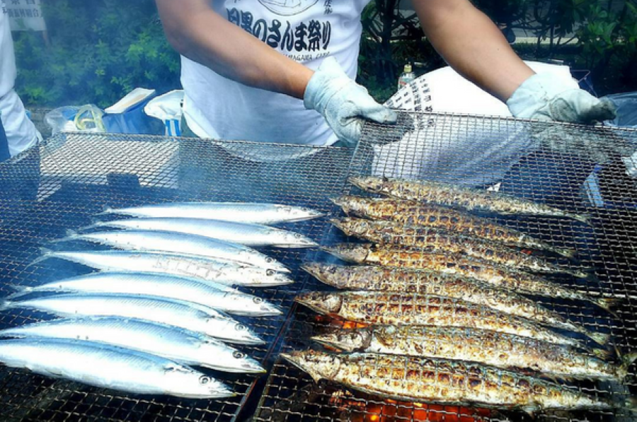 Lễ hội cá thu Meguro thơm lừng