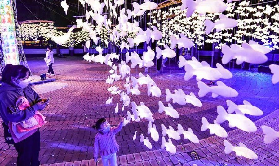 Lễ hội Hanji rực rỡ về đêm