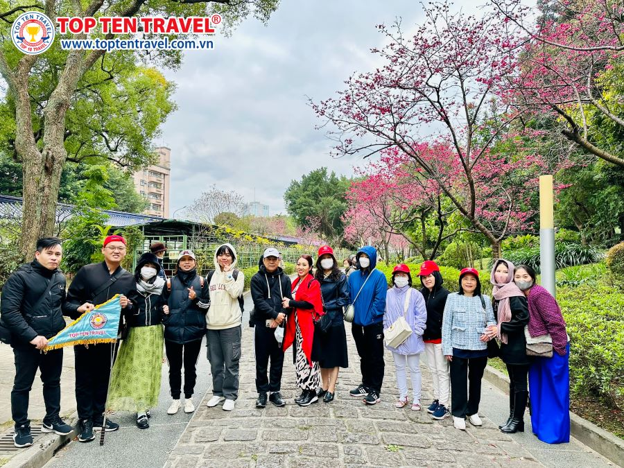 Book tour du lịch càng sớm càng tốt