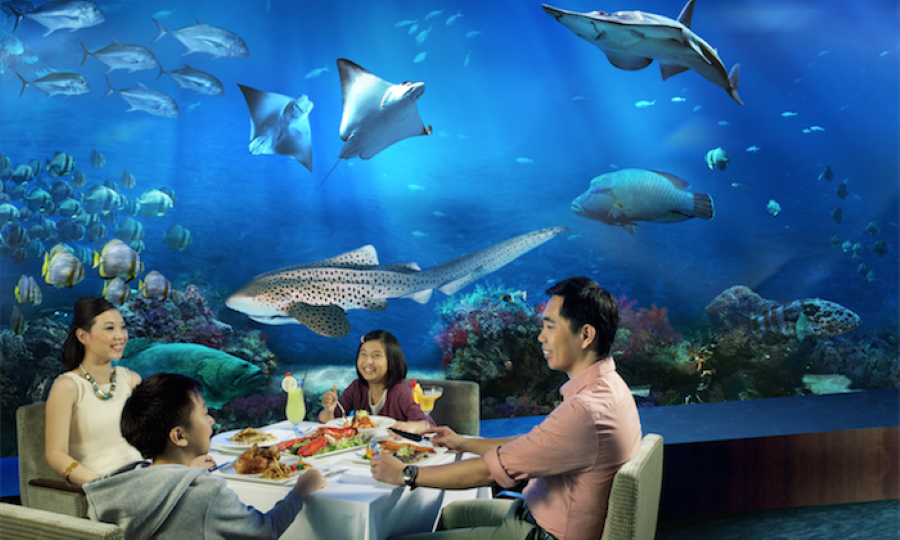 Du khách vừa trải nghiệm ẩm thực vừa ngắm nhìn các loài sinh vật biển bơi lội