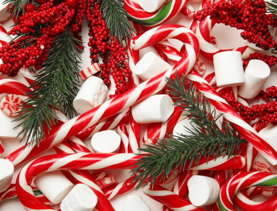 Du khách có thể tìm mua Polkagris tại các cửa hàng khác nhau