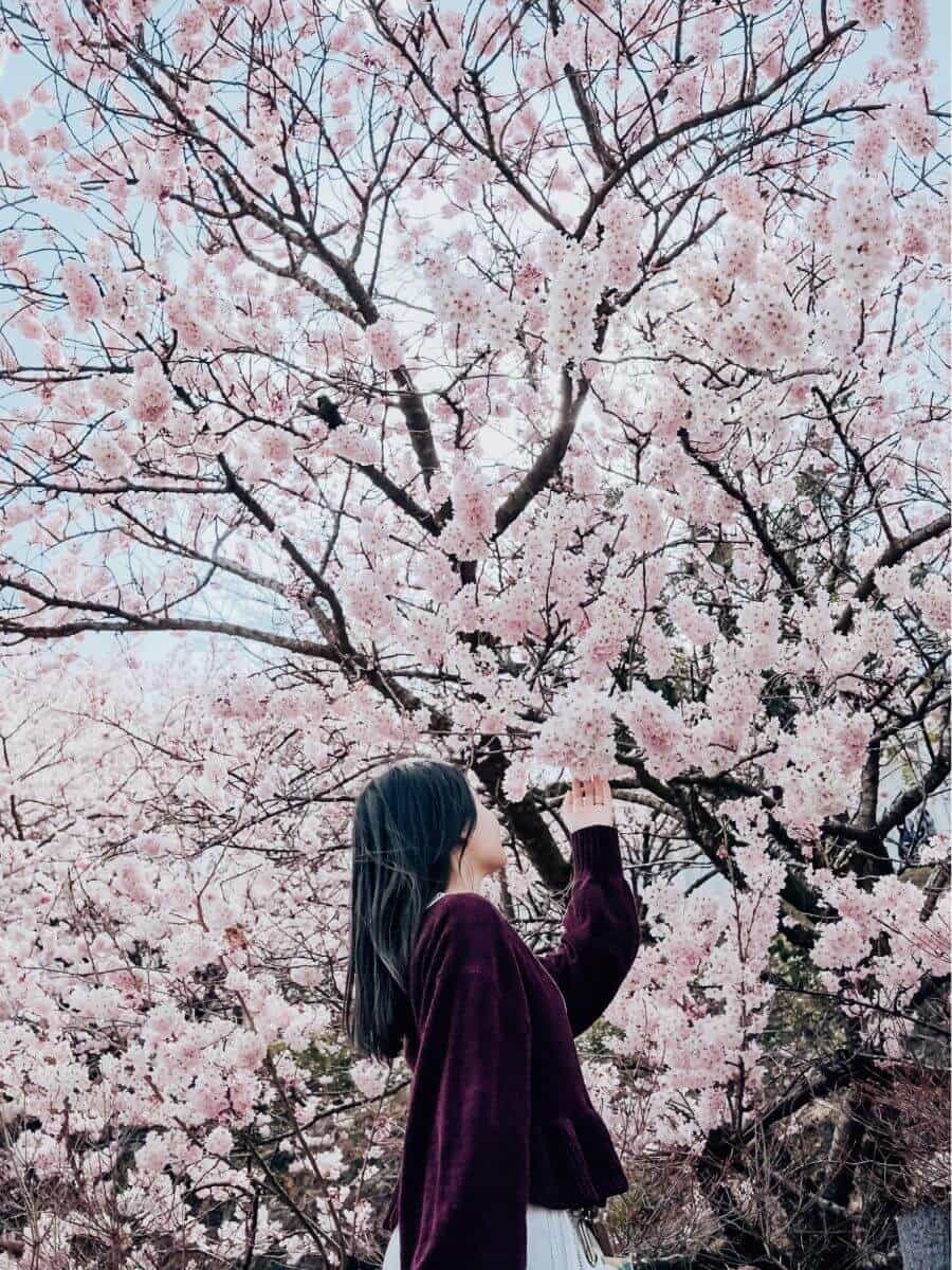 Tương tác với hoa là một trong những tips chụp ảnh “xịn sò” mà bạn không nên bỏ qua