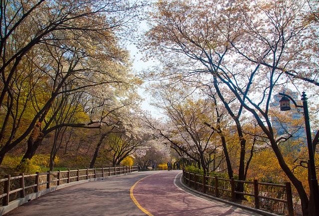 Không khí trong lành, mát mẻ tại Công viên Namsan