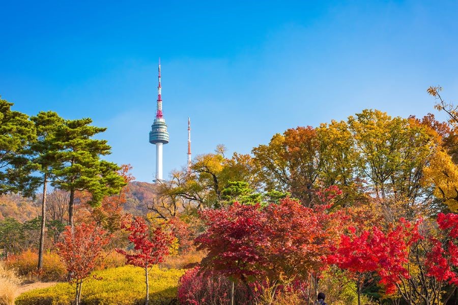 Namsan được mệnh danh là ngọn Tháp biểu tượng cao ngút trời nằm giữa lòng Seoul