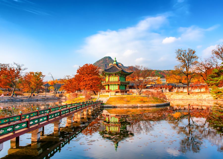 Những trải nghiệm đáng nhớ tại Cung Điện Gyeongbokgung