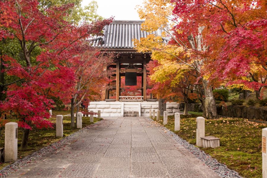 Ẩn mình giữa lòng Gion hoa lệ, Shirakawa Gion đưa du khách đến với một ốc đảo bình yên, một không gian thanh tĩnh đến lạ kỳ