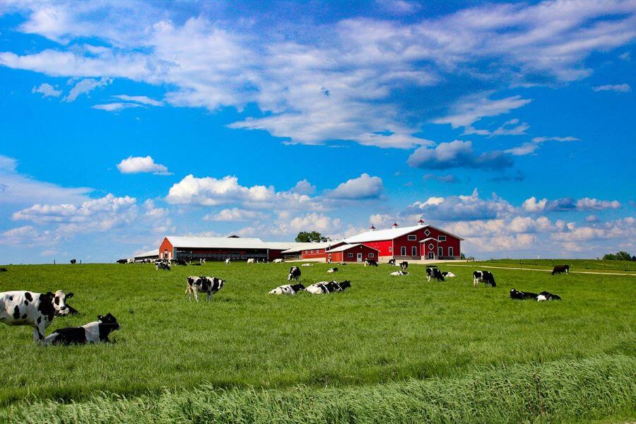 Nông trại Mother Farm đã và đang trở thành một điểm đến hấp dẫn cho du khách khi đến với đất nước mặt trời mọc