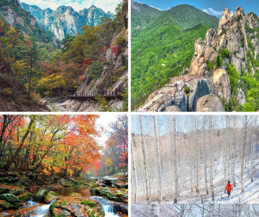 Mỗi mùa tại núi Seorak đều có những nét hấp dẫn riêng