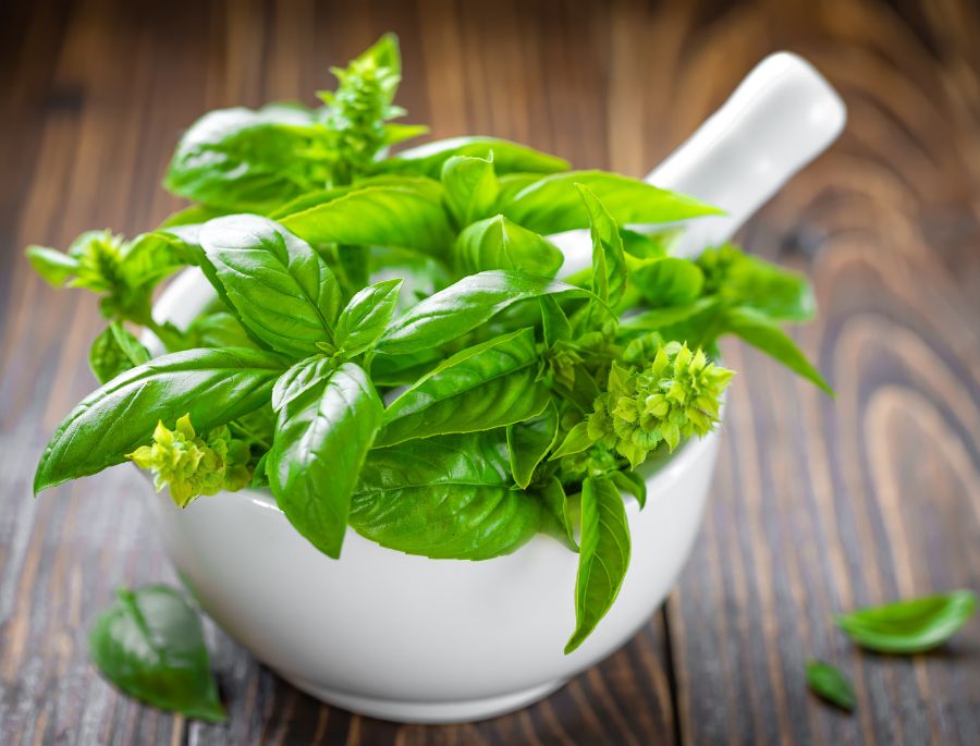 Húng tây có hương vị nhẹ nhàng, giúp tăng thêm hương vị cho món ăn