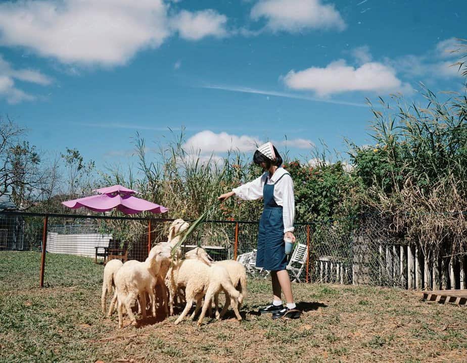 Quán cà phê nông trại ở Đà Lạt "đốn tim" giới trẻ 