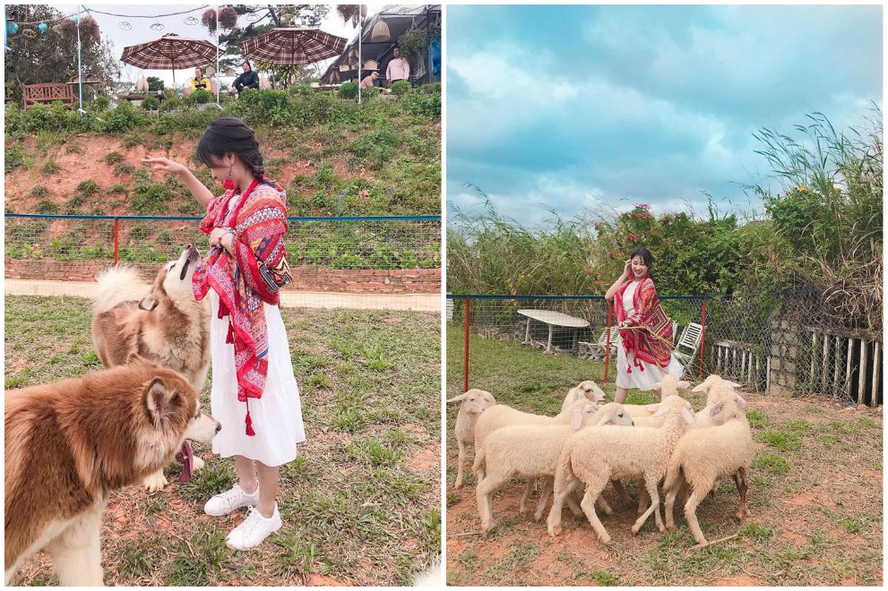 Quán cà phê nông trại ở Đà Lạt "đốn tim" giới trẻ 