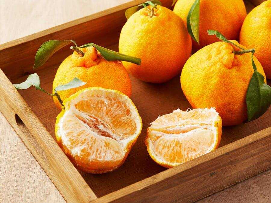 Quýt Jeju với hương vị ngọt ngào và mùi thơm đặc trưng, là một đặc sản nổi tiếng của hòn đảo xinh đẹp này