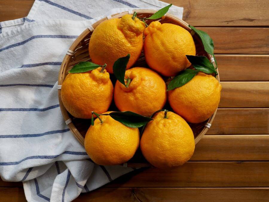 Quýt Jeju là một loại trái cây đặc sản nổi tiếng của Hàn Quốc mà bạn không nên bỏ lỡ khi đi du lịch Jeju