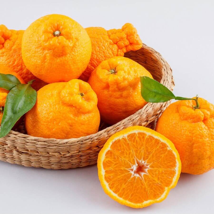 Quýt Jeju là một trong những đặc sản không thể bỏ qua khi đi du lịch Hàn Quốc