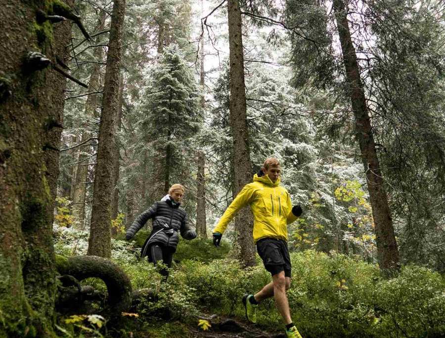 Địa hình tại rừng đen nước Đức có sự thay đổi rõ rệt ở mỗi khu vực