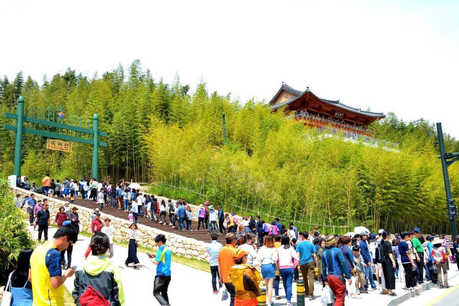 Lễ hội trúc tại Rừng trúc Juknokwon thu hút đông đảo người dân địa phương lẫn du khách quốc tế đến tham gia