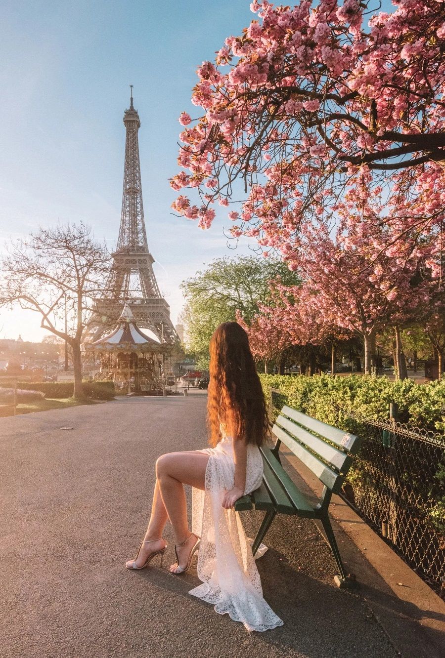 Không khó để tìm thấy những gốc hoa anh đào tại mỗi góc phố hay công viên ở Paris
