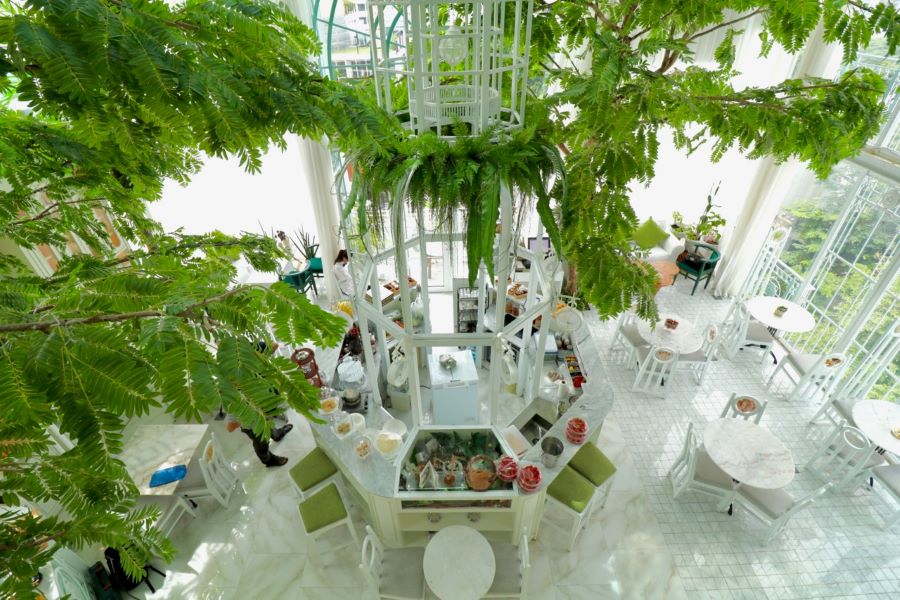 Organika House - Một ốc đảo xanh mát giữa lòng Bangkok sôi động