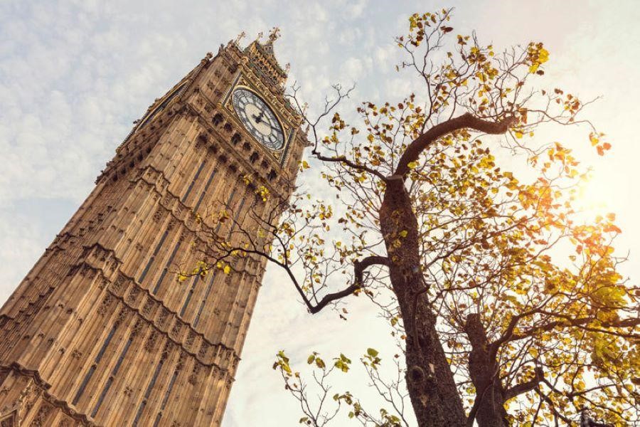 Mùa thu nước Anh trở nên lãng mạn với những tán cây thay màu rực rỡ