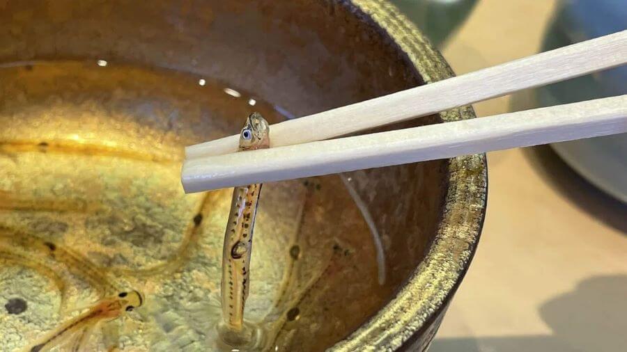 Hương vị của Shirouo no Odorigui là một trải nghiệm khó tả chắc hẳn sẽ khiến bạn vô cùng thích thú