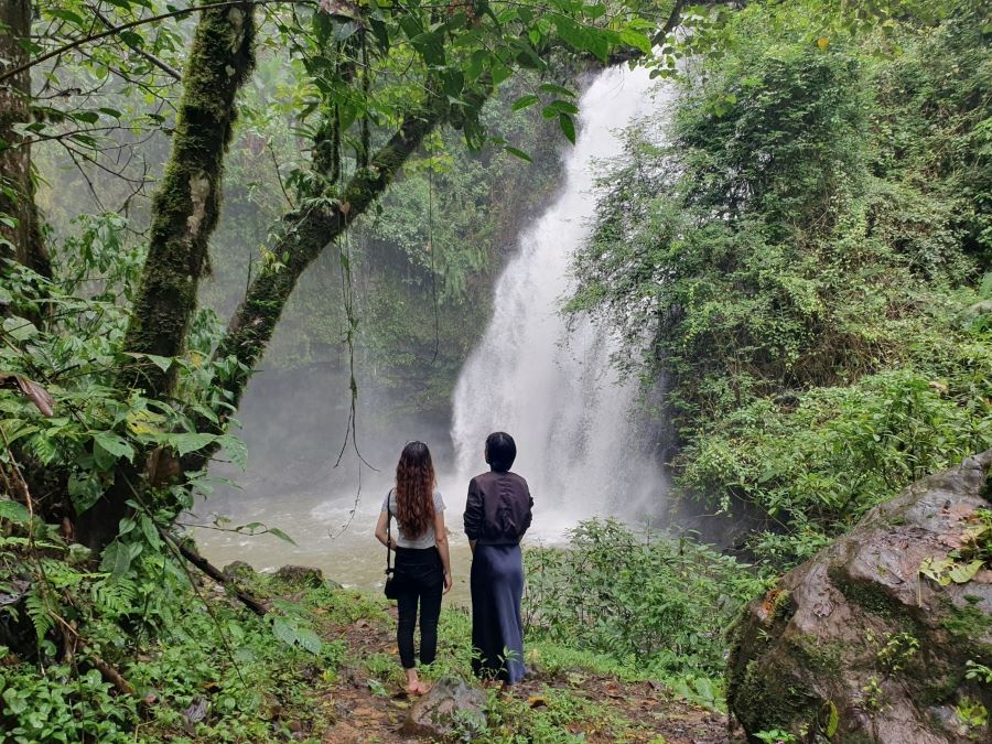 Tọa lạc tại xã Đại Lào, Suối Mơ Bảo Lộc ẩn mình giữa những cánh rừng nguyên sinh xanh rì.