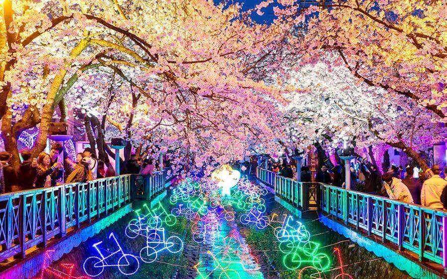 Vào buổi tối, khi những ánh đèn được thắp lên, suối Yeojwa lại mang một vẻ đẹp lung linh, huyền ảo