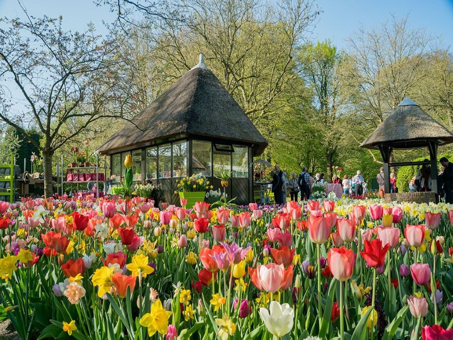 Lễ hội hoa Floriade tại Úc