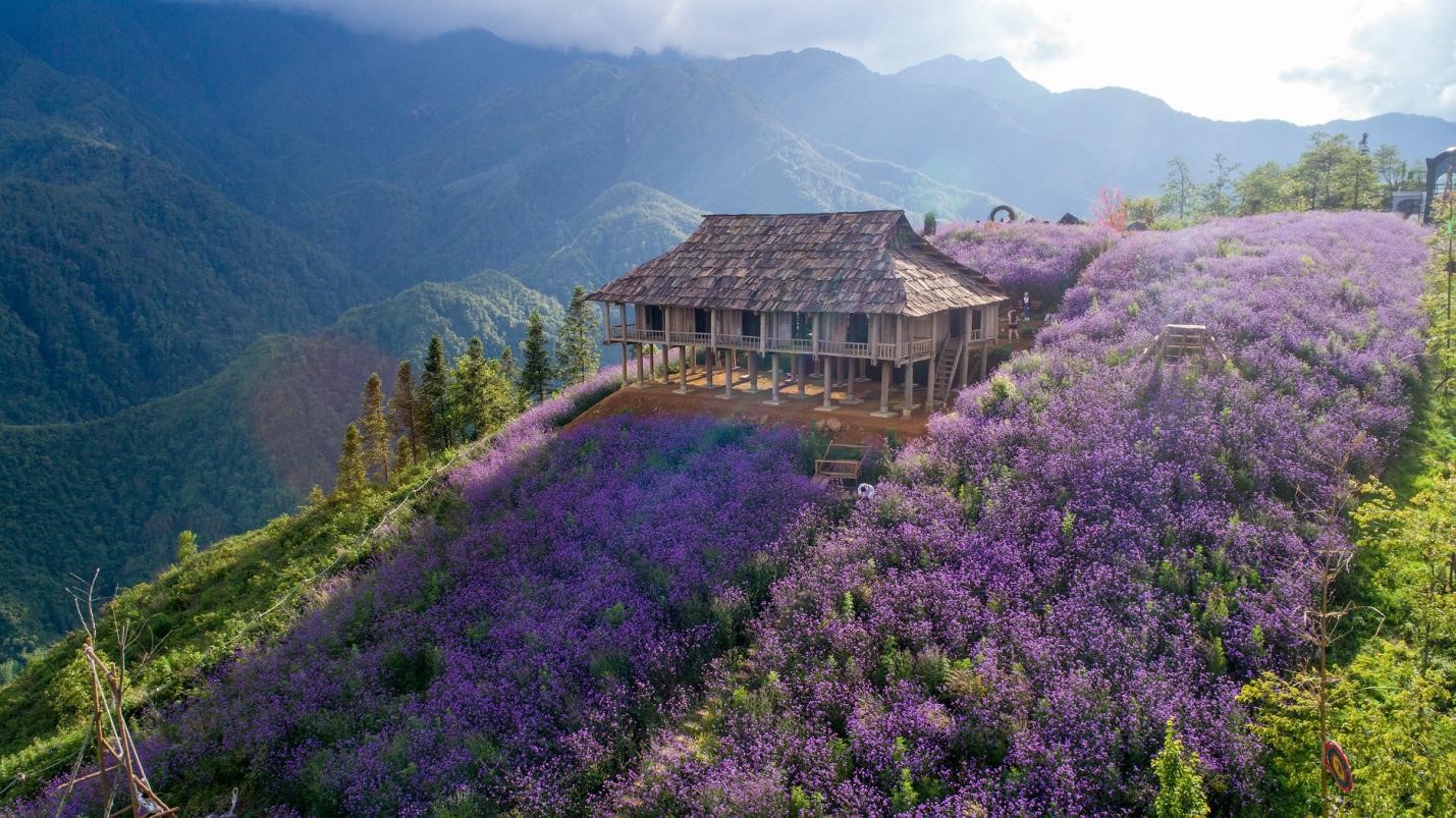 Tại sao nên lựa chọn đi du lịch trong nước tại Top Ten Travel