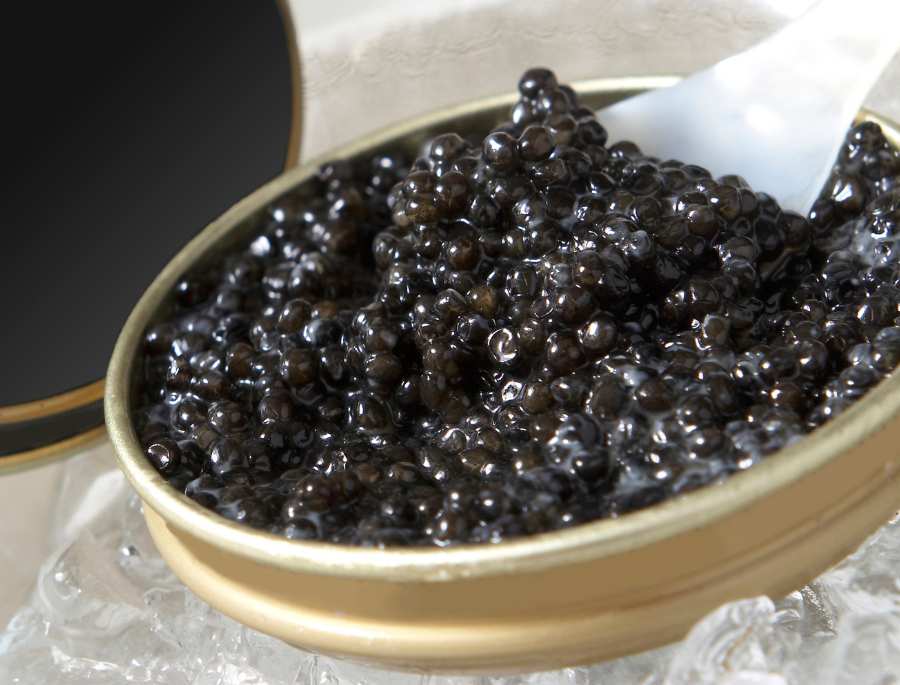 Trứng cá tầm Pháp được xem một biểu tượng của sự xa hoa và tinh tế trong ẩm thực thế giới