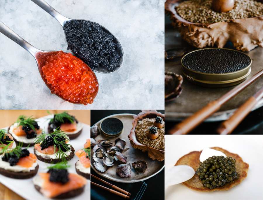 Trứng cá tầm được chế biến thành nhiều món khác nhau mang lại những hương vị thơm ngon