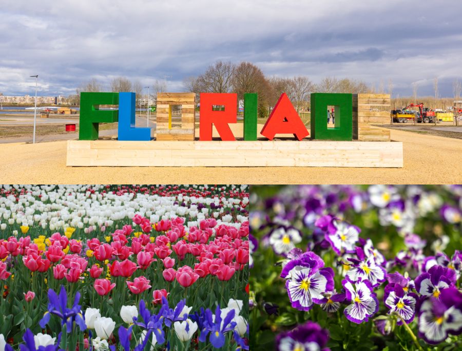 Lễ hội Hoa Floriade là nơi khoe sắc của hàng triệu bông hoa đến từ nhiều loài khác nhau