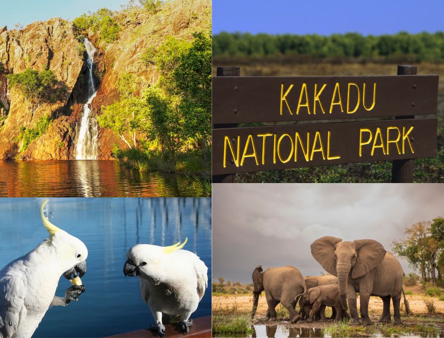 Công viên quốc gia Kakadu là ngôi nhà chung của hàng ngàn loài động vật hoang dã