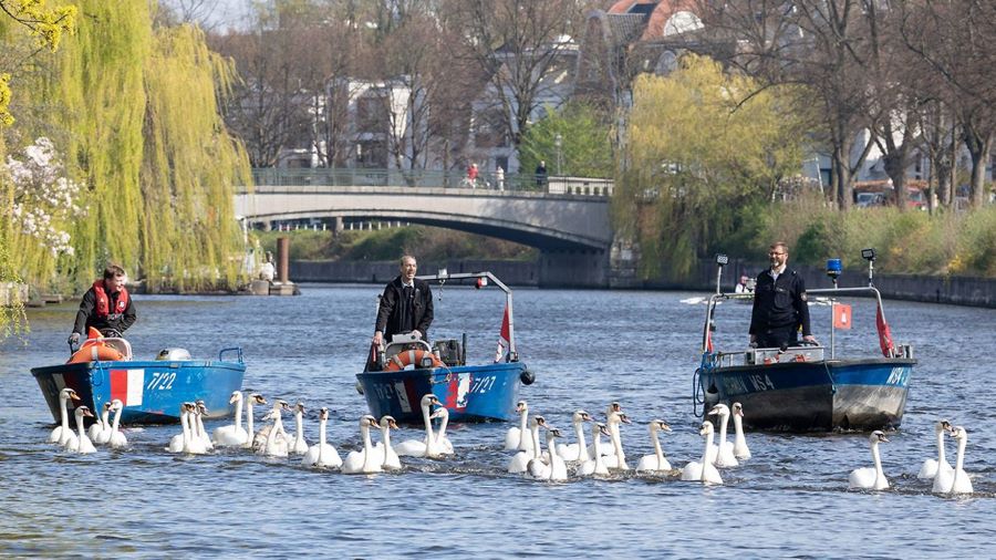 Các hoạt động hấp dẫn tại vườn thú