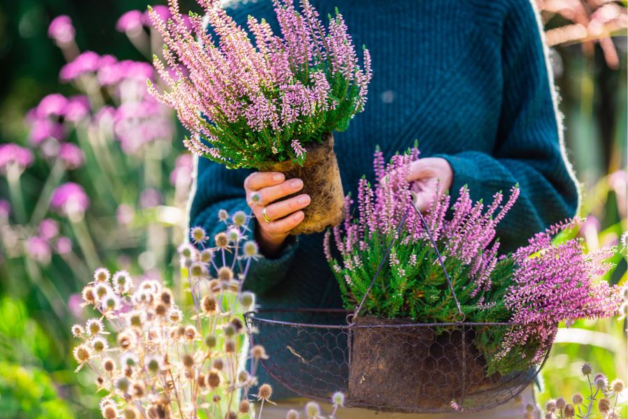 Công viên Pflanzen und Blumen có vẻ đẹp vô cùng ấn tượng