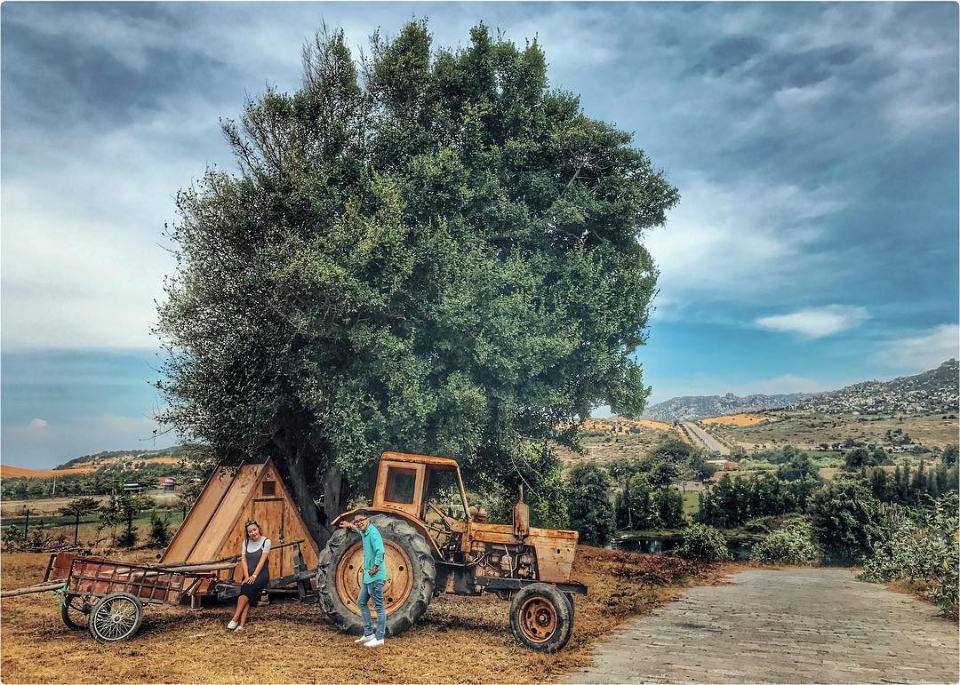 "Thảo nguyên Mông Cổ" đẹp như mơ ở đất Ninh Thuận