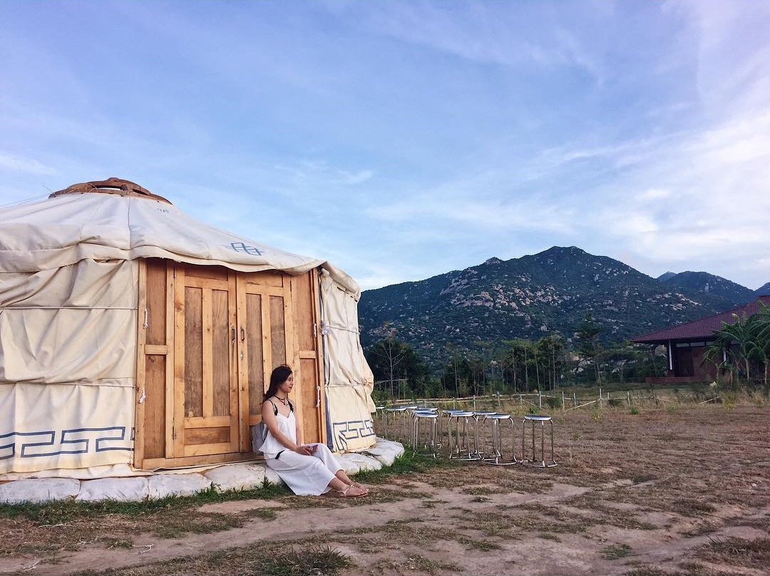 "Thảo nguyên Mông Cổ" đẹp như mơ ở đất Ninh Thuận