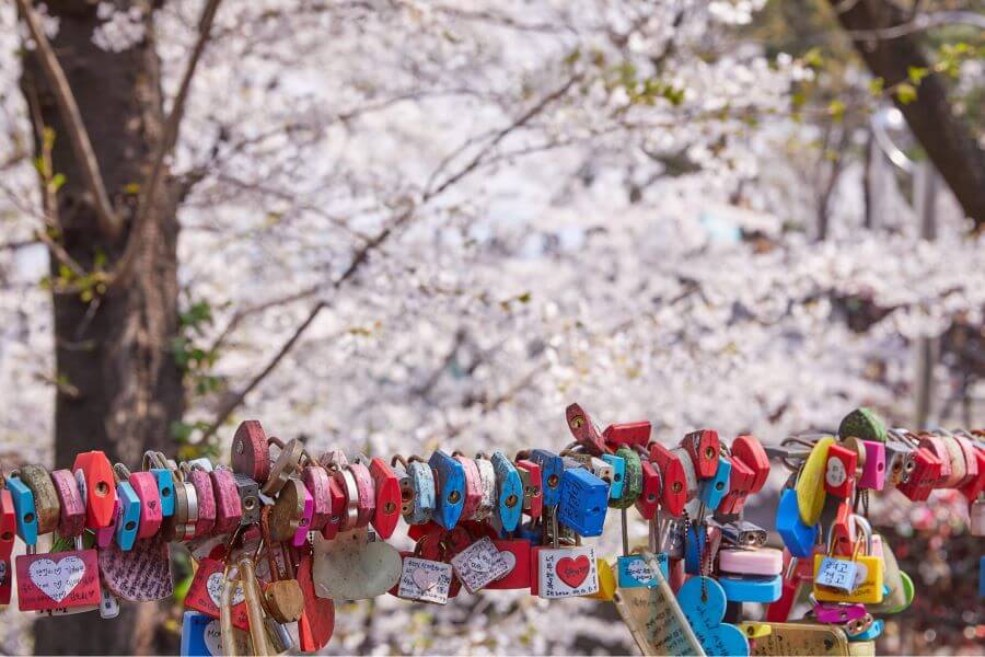 Tháp Namsan đã nổi tiếng với 