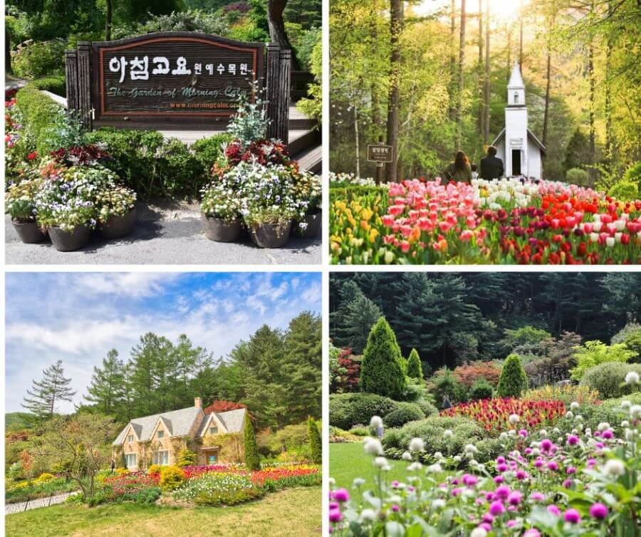 The Garden of Morning Calm - Khu vườn mộng mơ nổi tiếng tại Hàn Quốc