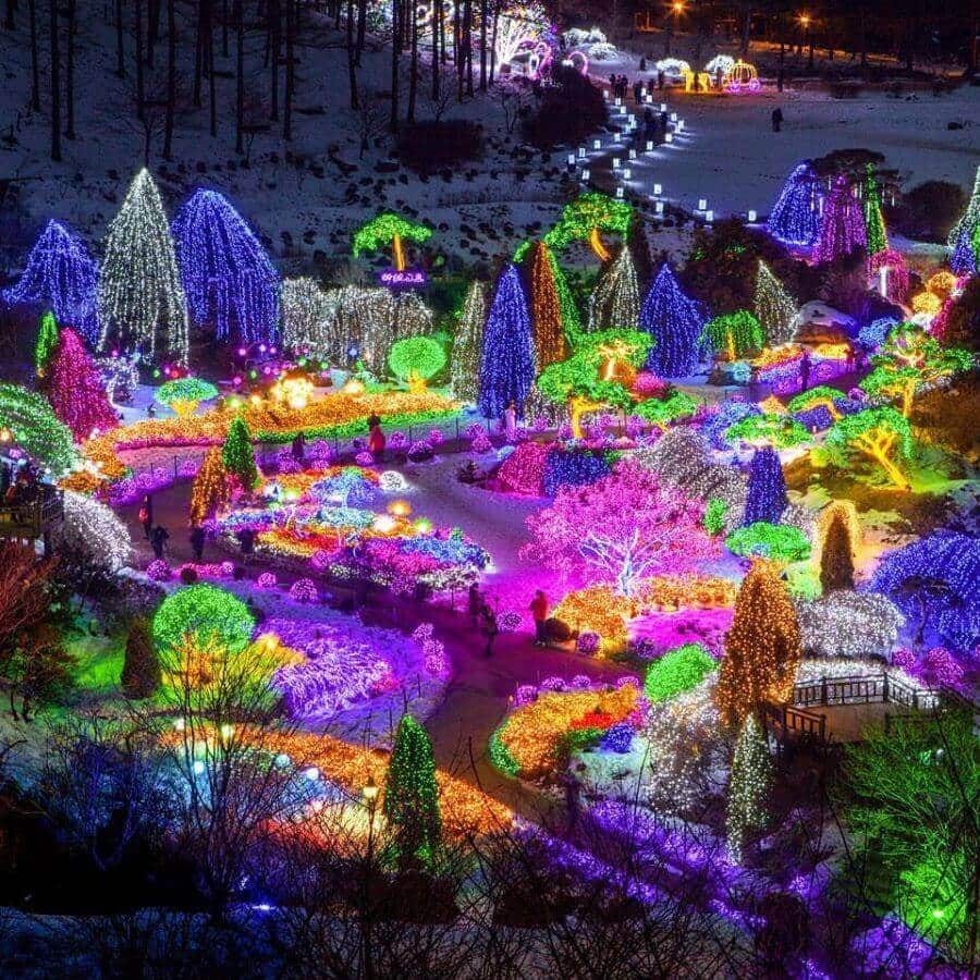 Vào mùa đông, The Garden of Morning Calm tổ chức lễ hội ánh sáng, tạo nên một không gian lung linh, huyền ảo
