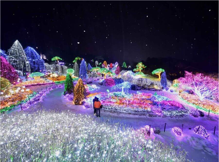 The Garden of Morning Calm vào mùa đông mang một nét đẹp đặc trưng riêng, khiến ai cũng mê mẩn