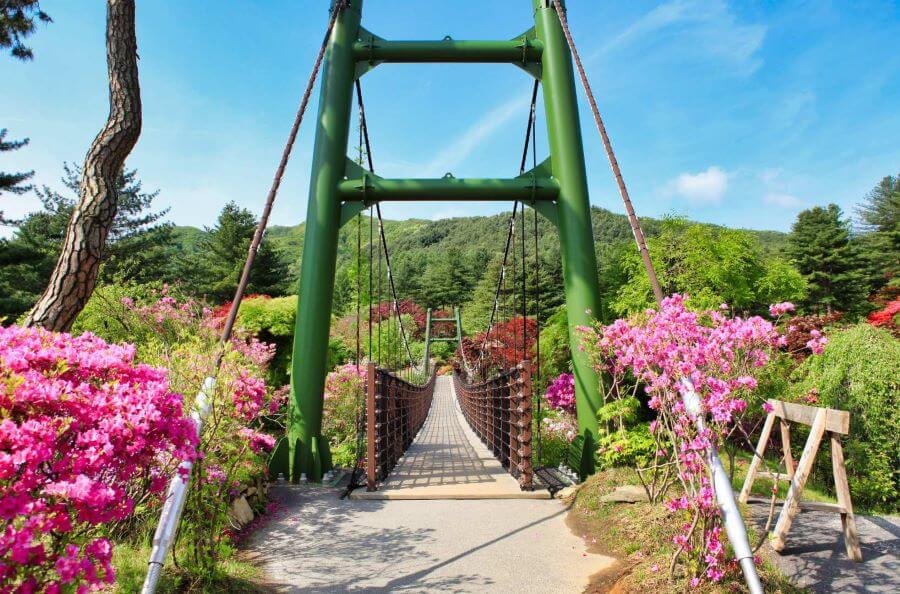 Cầu Mây, hay Cloud Bridge, là một trong những biểu tượng nổi tiếng của The Garden of Morning Calm