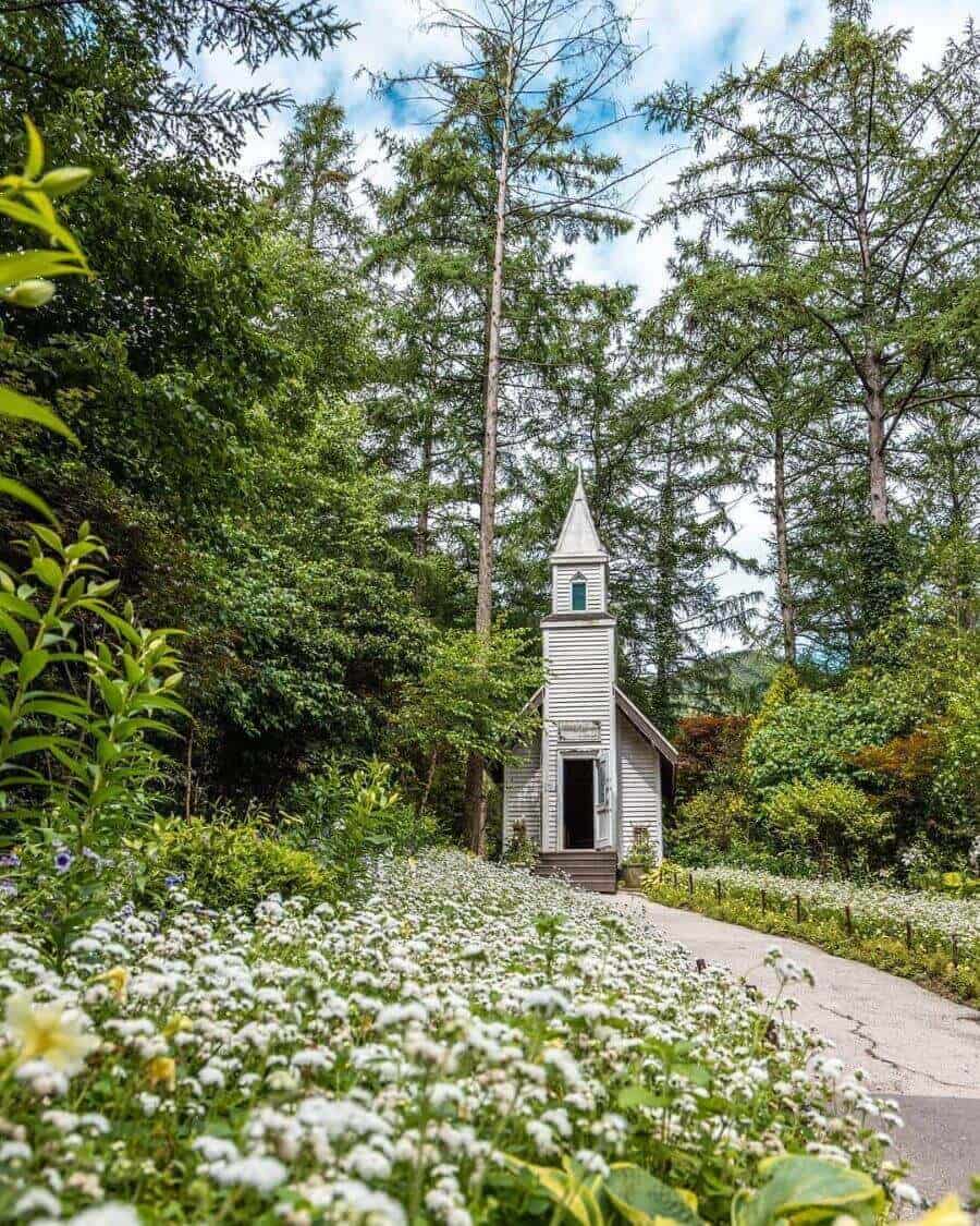 Moonlight Garden là một trong những điểm nhấn nổi bật của The Garden of Morning Calm mà bạn không nên bỏ qua