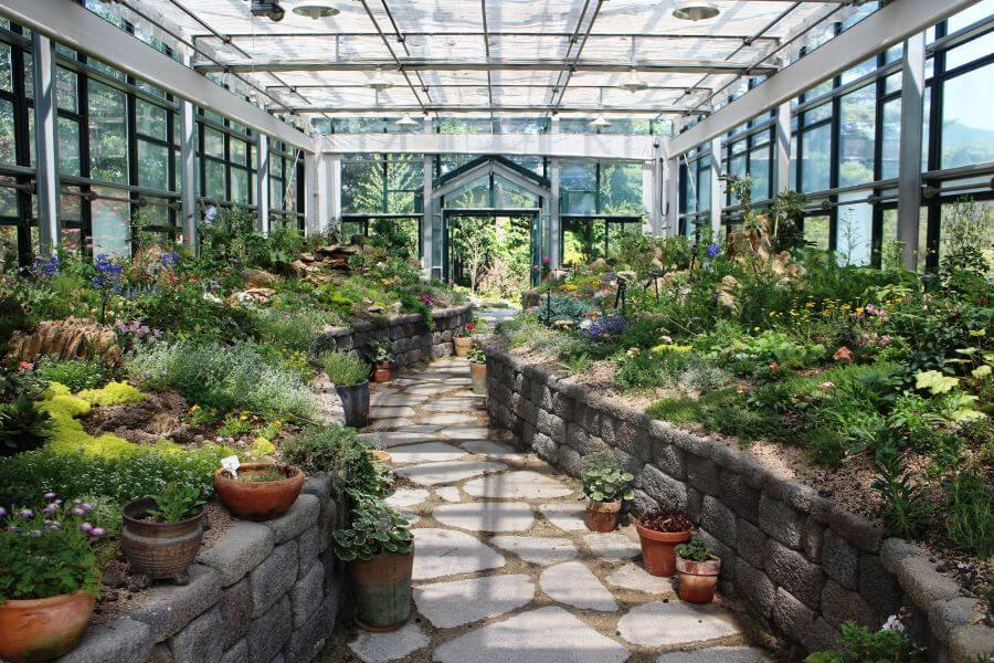 Nhà kính tại The Garden of Morning Calm là một không gian xanh mát, nơi trưng bày hàng trăm loài thực vật quý hiếm