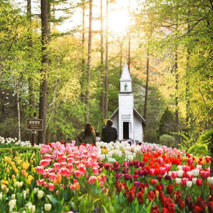 The Garden of Morning Calm là một điểm đến lý tưởng cho những ai yêu thiên nhiên và muốn tìm hiểu về văn hóa Hàn Quốc