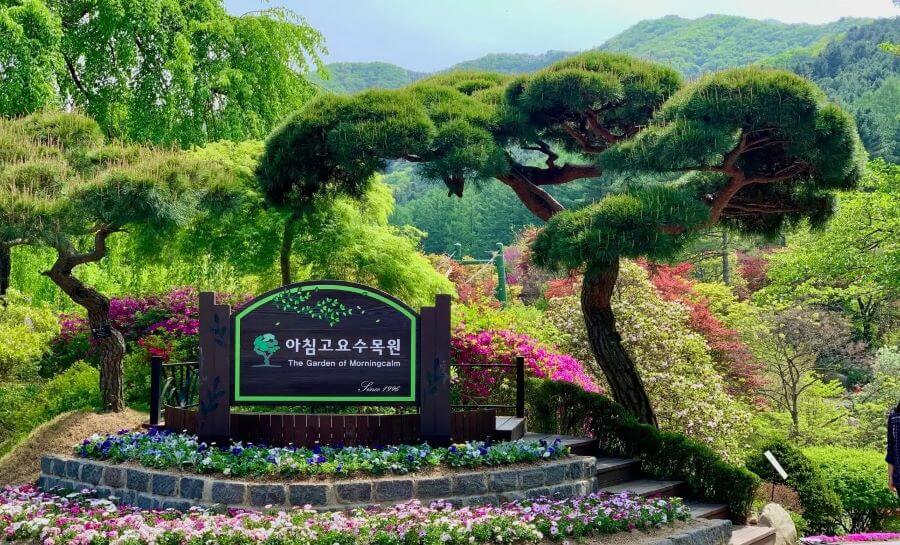The Garden of Morning Calm là một tuyệt tác thiên nhiên nằm tại Gapyeong, Hàn Quốc