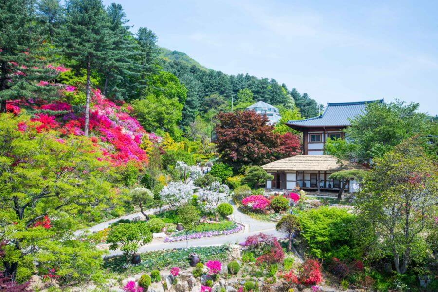 The Garden of Morning Calm vào mùa hạ như được khoác lên mình tấm áo mới tươi tắn và rực rỡ