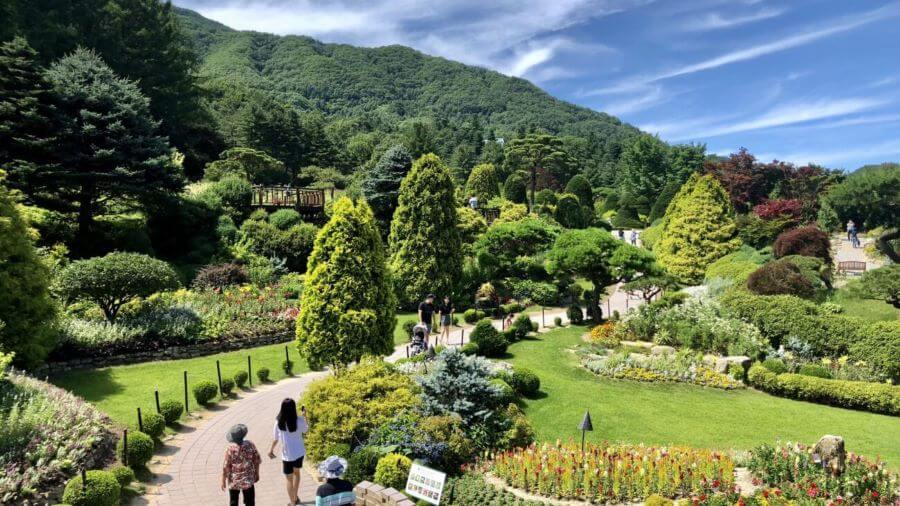 Không khí mùa hạ tại The Garden of Morning Calm thật sự ấm áp và dễ chịu