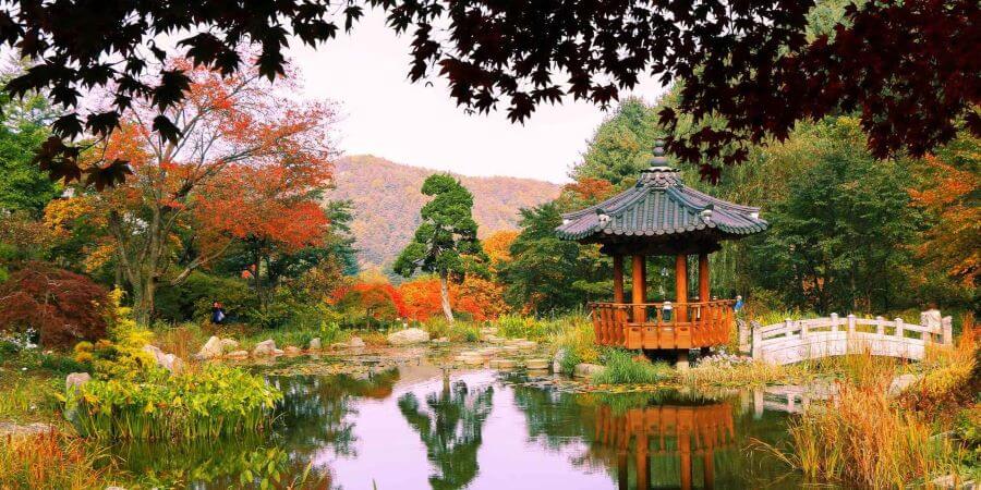 The Garden of Morning Calm vào mùa thu mang không khí se lạnh nhưng lại vô cùng bình yên và thư thái