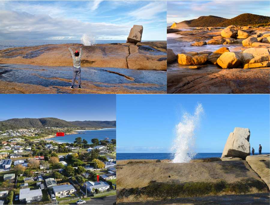  Xung quanh khu vực thị trấn Bicheno có rất nhiều con đường mòn đi bộ tuyệt đẹp nằm cạnh đường bờ biển